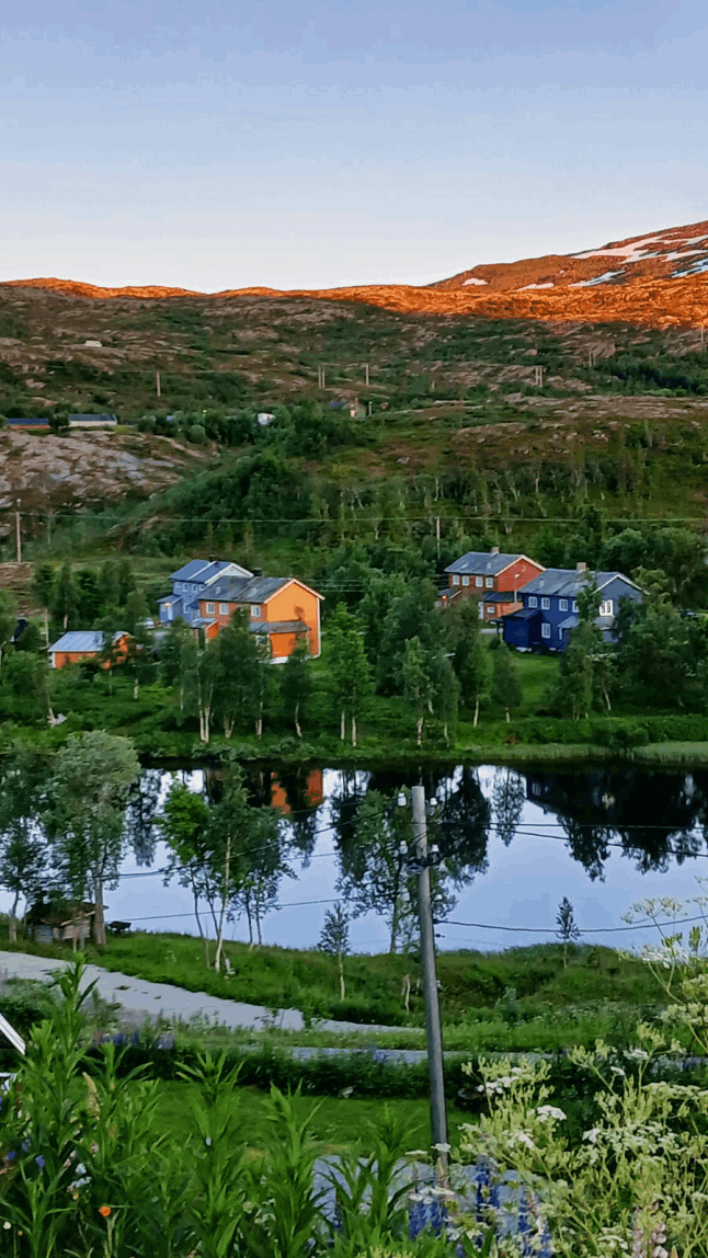 Namsskogan